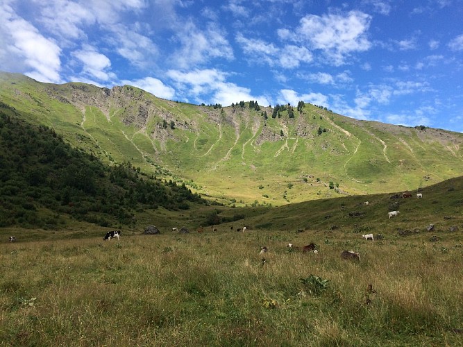 Gron by petit Planey