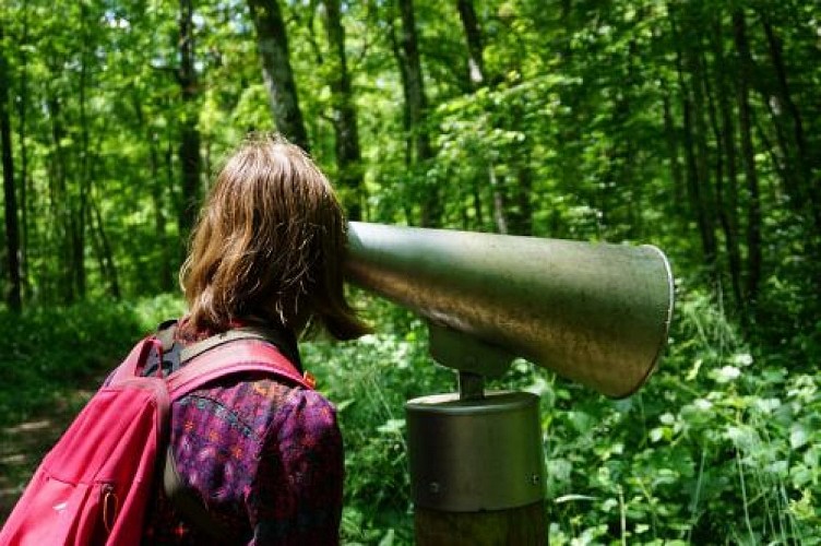 Écoutons la forêt