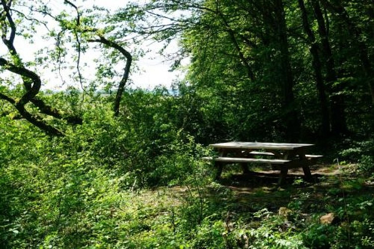 Table de pique-nique