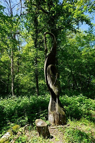 Sentier du Menu Bois