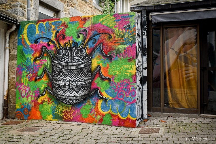 Street Art Saint-Brieuc