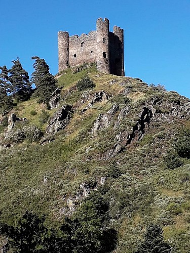 Chateau d'Alleuze