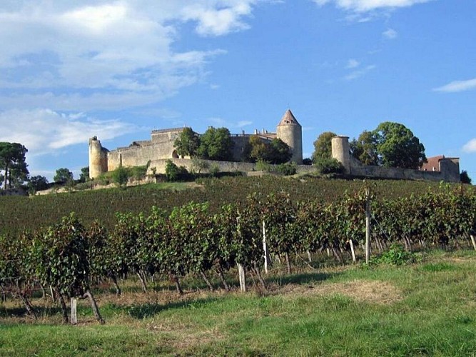 Château de Benauge