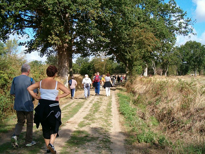 CIRCUIT LES GRÉS ET TERRES D'ANGRIE