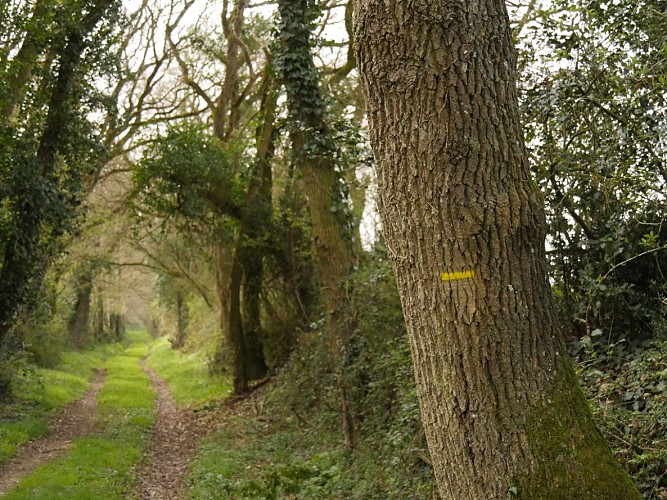 Circuit des fours à chaux