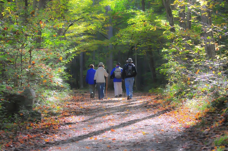 Tour of the hamlets in the east of Lorrez-le-Bocage