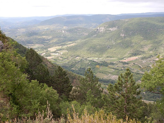 Vallée de la Lergue
