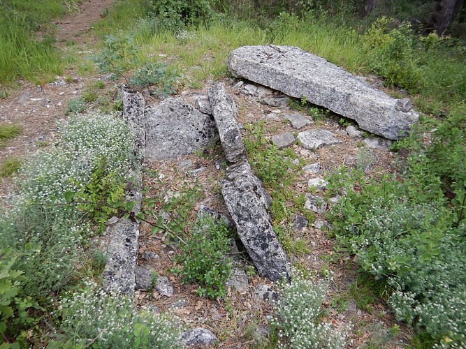 Dolmen des Coutelles n° 2