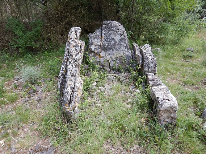 Dolmen des Coutelles n° 1