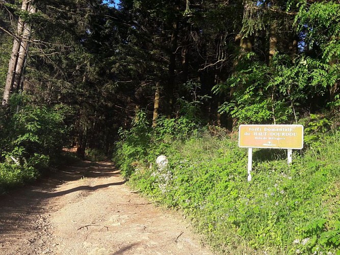 Le Balcon des Cévennes