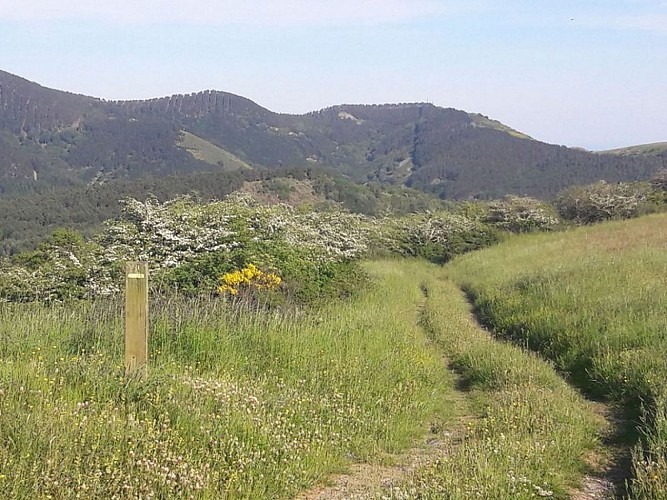 Le Balcon des Cévennes