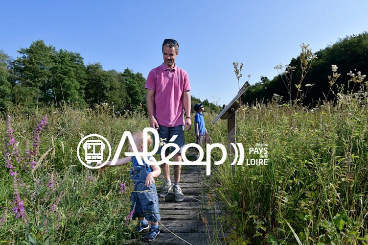 ERNÉE  Entre nature et patrimoine en 1 jour