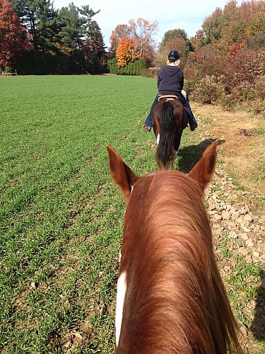 Equestrian Loop South