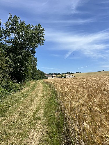 Circuit des Vallons