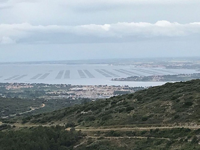 Etang de Thau vu du Roc d'Anduze