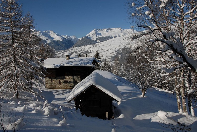 Traject met sneeuwschoenen "Montchavin - Les Coches via Praz Salvard"