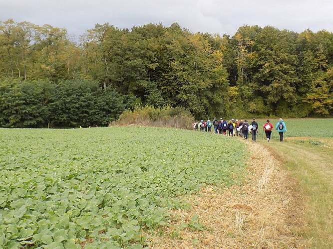 randonnée à Egreville