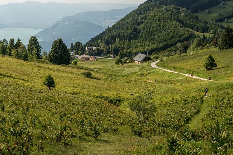 Randonnée à la Croix du Nivolet