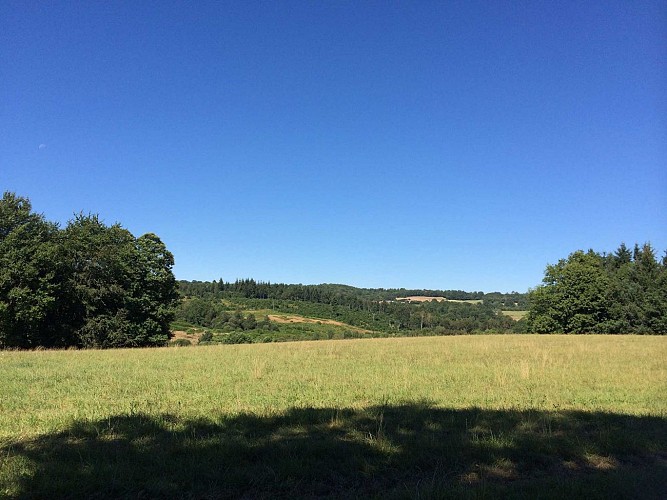 Sentier des Demoiselles