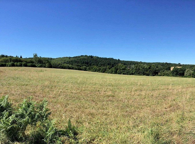 Sentier des Demoiselles