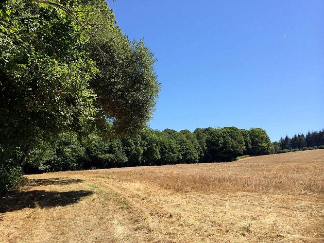 Sentier des Demoiselles