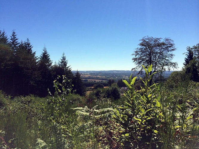 Sentier des Demoiselles