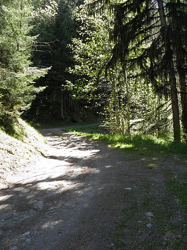Hiking route: Les Coches via La Pierra