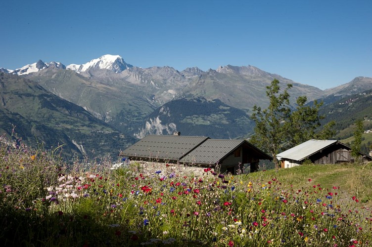 Summer hiking route: The Vanoise Express