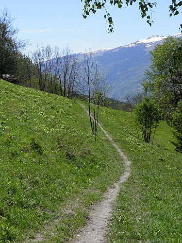 Sentier Piéton : Le Chemin de la Pierra
