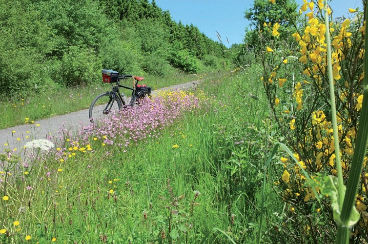 Die UNESCO-Fahrradroute - Etappe 9 von Spa nach Weismes