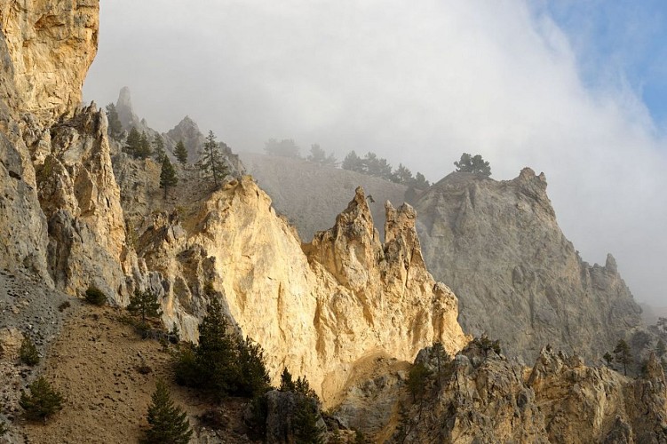 Randonnée Roche Moutte - Izoard