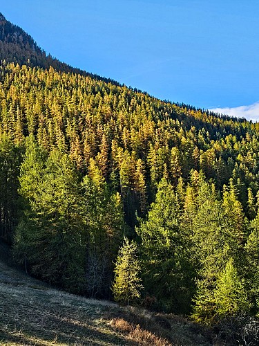 Le Mélézin_Villar-Saint-Pancrace