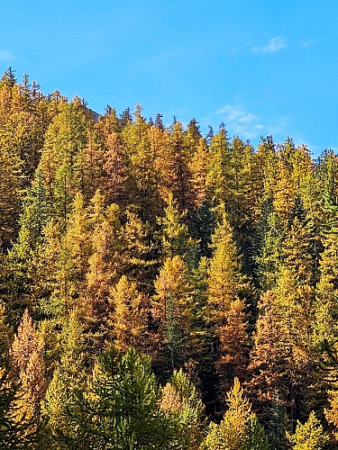 Le Mélézin_Villar-Saint-Pancrace