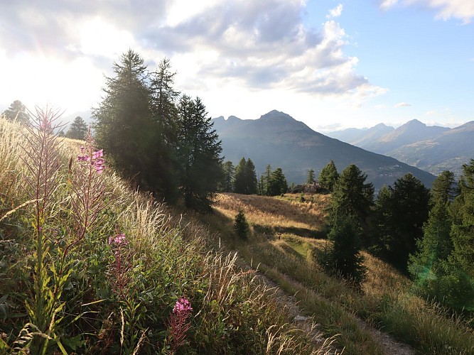 Le Mélézin_Villar-Saint-Pancrace