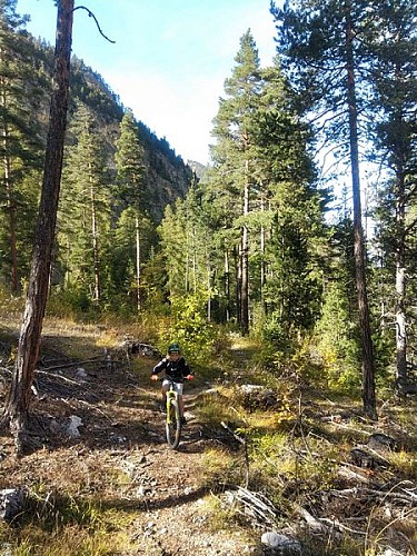 VTT N°42 : Les Balcons de Névache