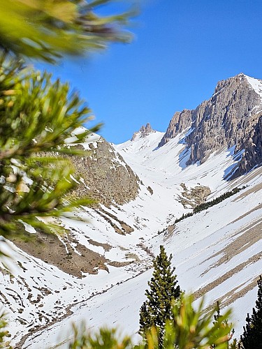 Le Creux des Souches_Névache