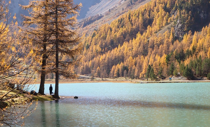 Lac de l'Orceyrette