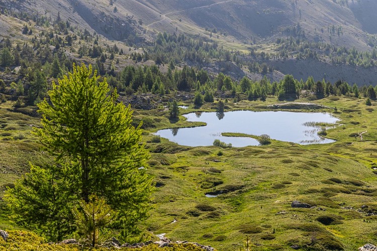 Lago di Sarailles_Cervières