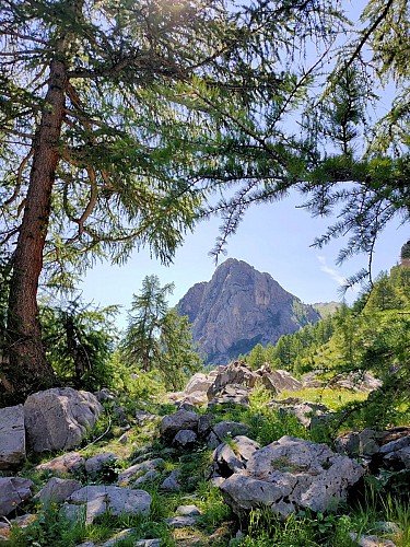 La croce dell'Aquila