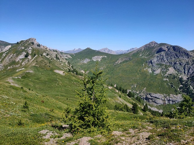 La croce dell'Aquila