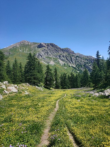 La croce dell'Aquila