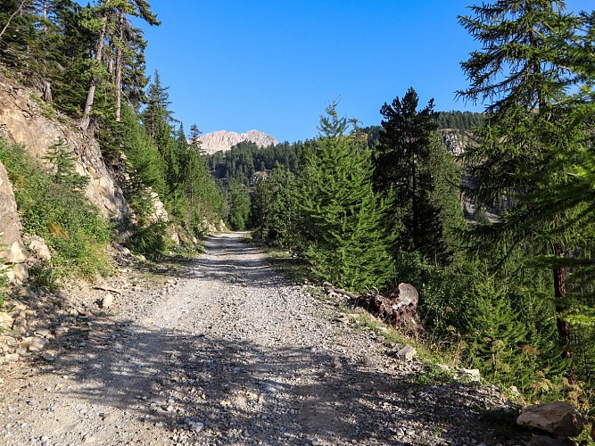 Les Chalets du Granon_Val-des-Prés