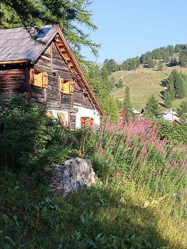 Les Chalets du Granon_Val-des-Prés