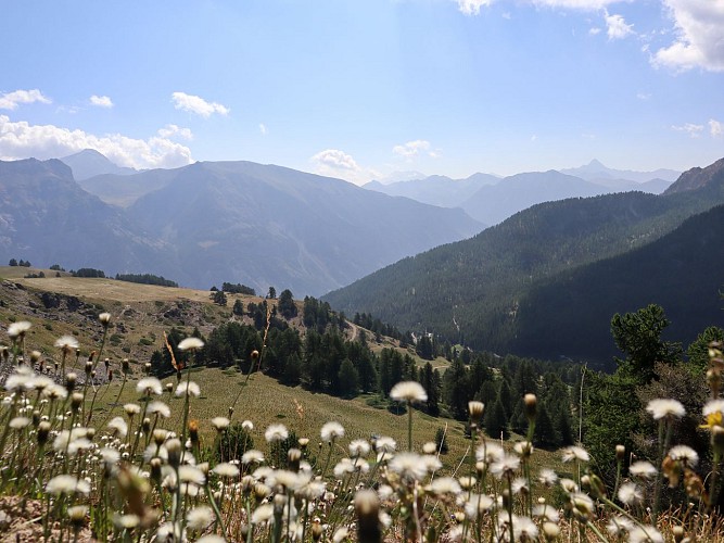 Les Chalets du Granon_Val-des-Prés