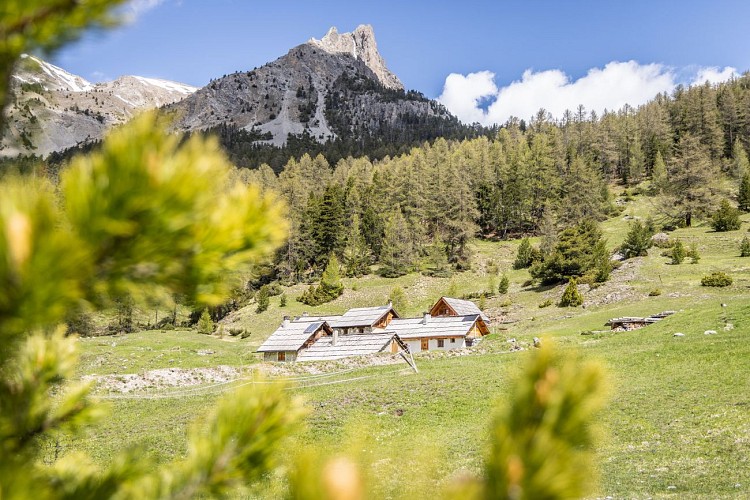 Col des Acles_Névache