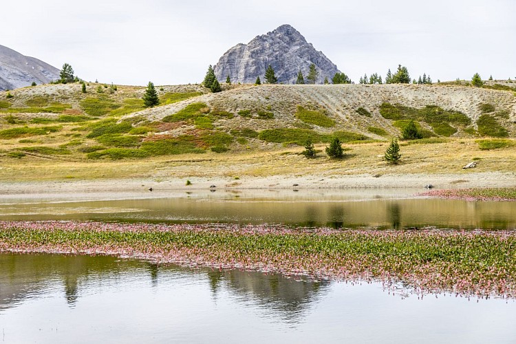 Lac noir du Chenaillet_Cervières