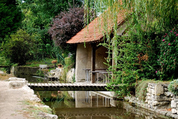 Le chemin des Eaux Bleues et de la Pierre tournante