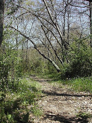 Aurignac "Sentier de la Source"