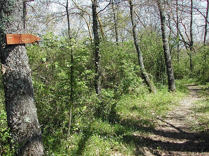 Aurignac "Sentier de la Source"