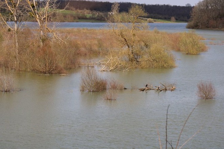 Boulogne sur Gesse "Côtes de Bieil et Montoussé"